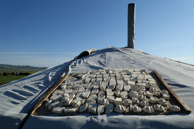 Aruul Mongolei