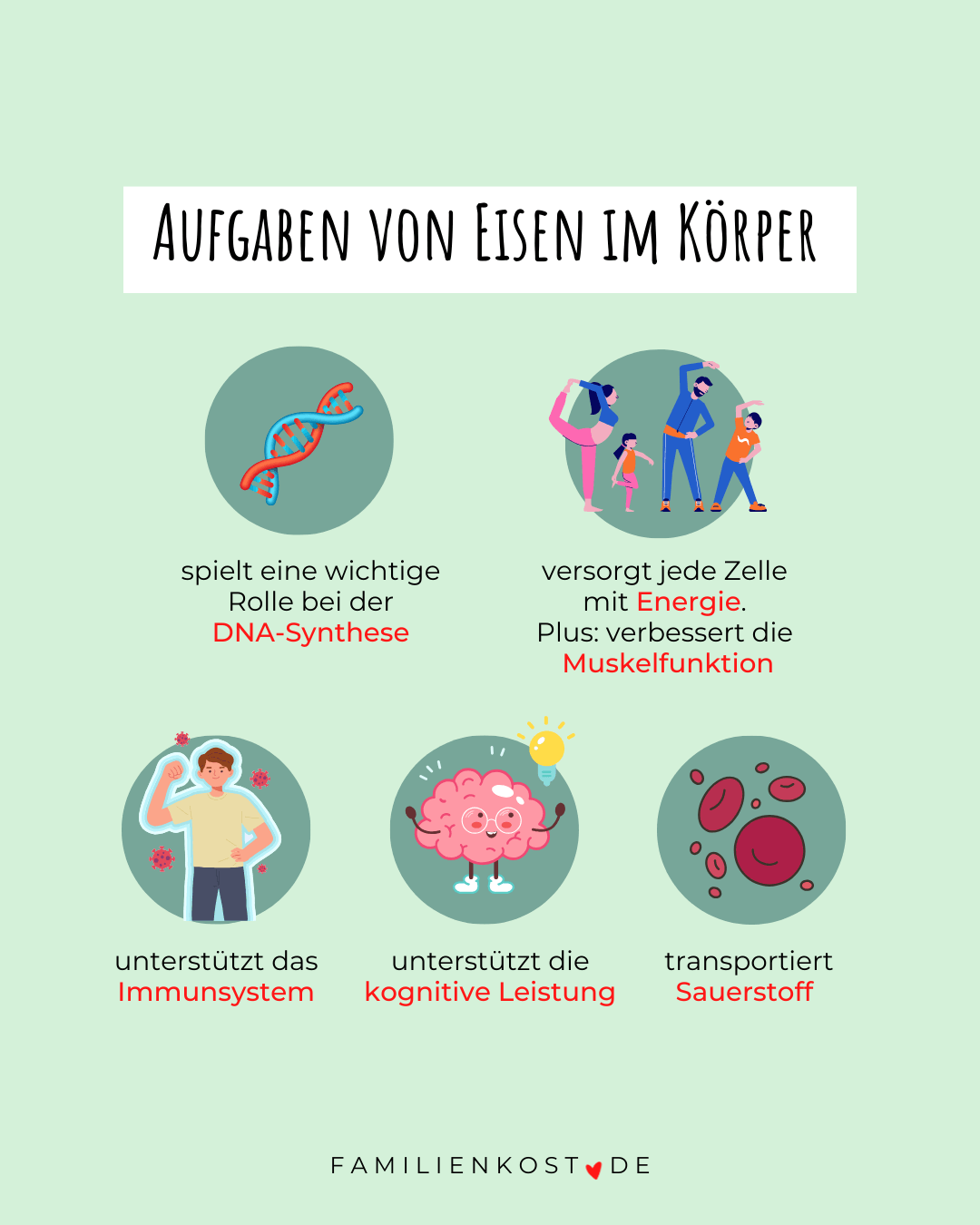 Aufgaben von Eisen im K&ouml;rper