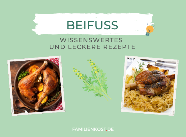 Beifuß für Braten und mehr
