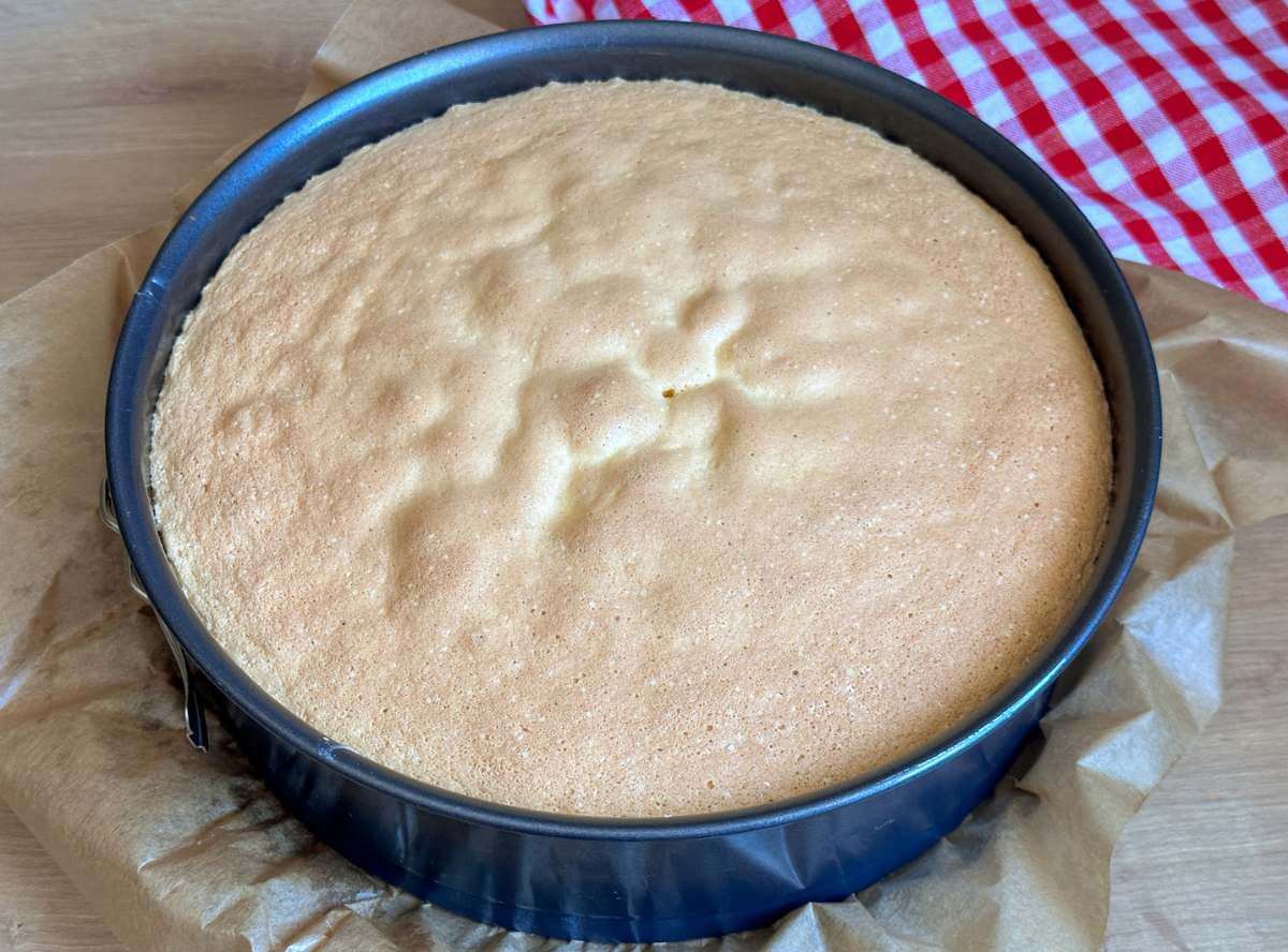Biskuitboden backen