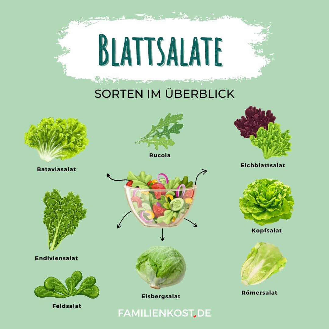 Blattsalate - Sorten im &Uuml;berblick