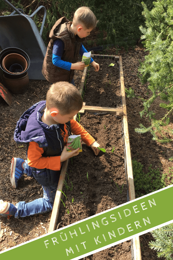 Gem&uuml;se pflanzen mit Kindern