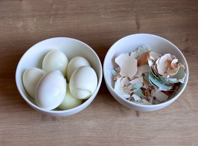 Eier kochen und pellen Eier kochen und pellen