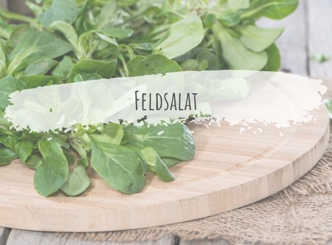 Feldsalat Food Facts Feldsalat Food Facts