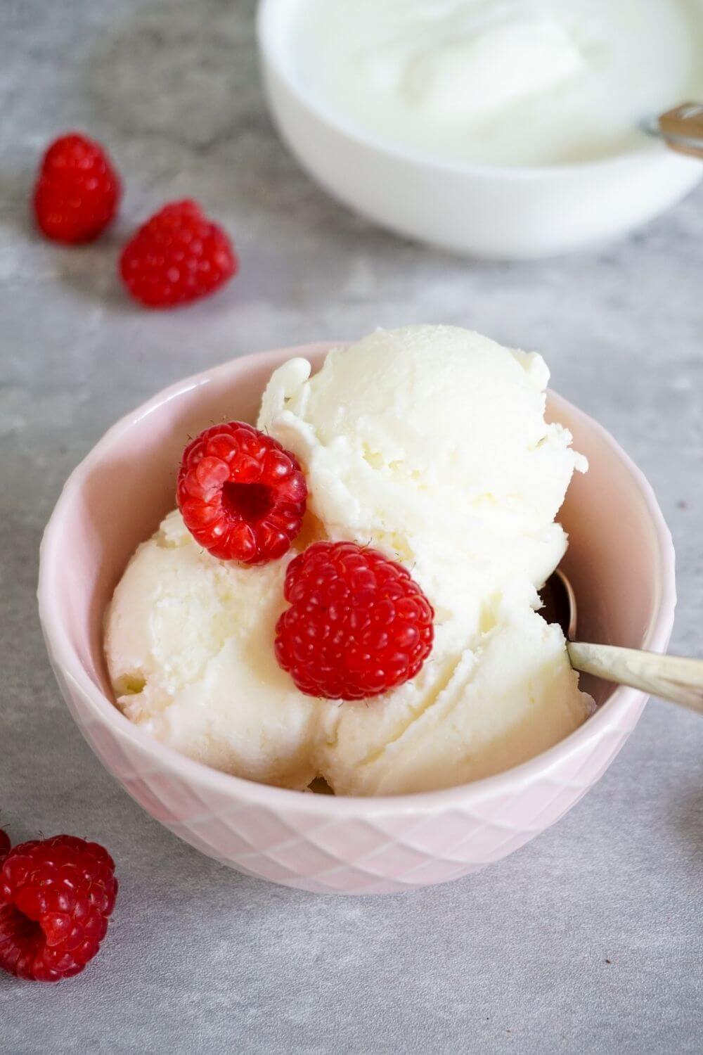 Frozen Joghurt aus der Ninja Creami