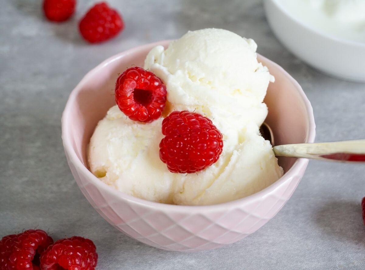 Frozen Joghurt Ninja Creami