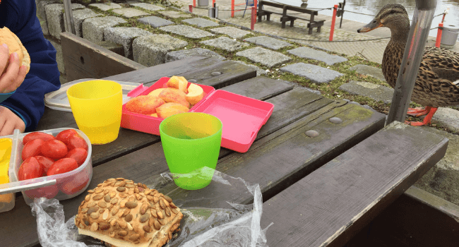 Fr&uuml;hling Picknick
