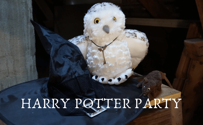 Harry Potter Party