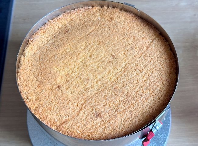 Hohe Torte backen Hohe Torte backen