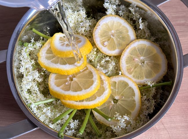 Holunderblüten-Wasser für Marmelade Holunderblüten-Wasser für Marmelade