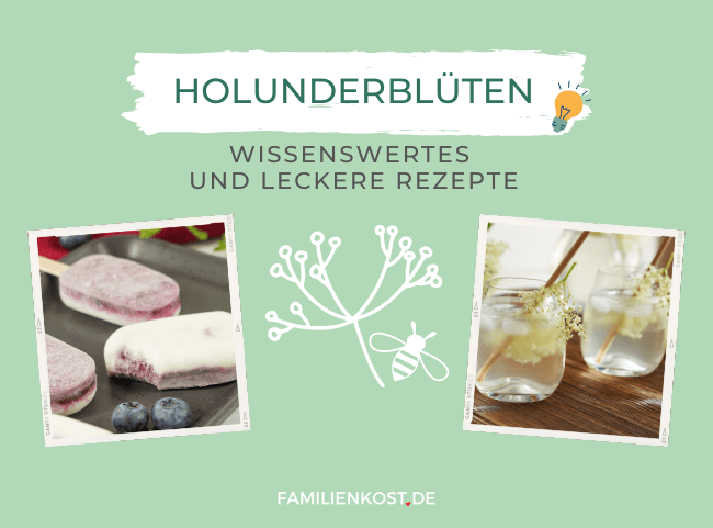 Holunderbüten - lecker & gesund Holunderbüten - lecker & gesund
