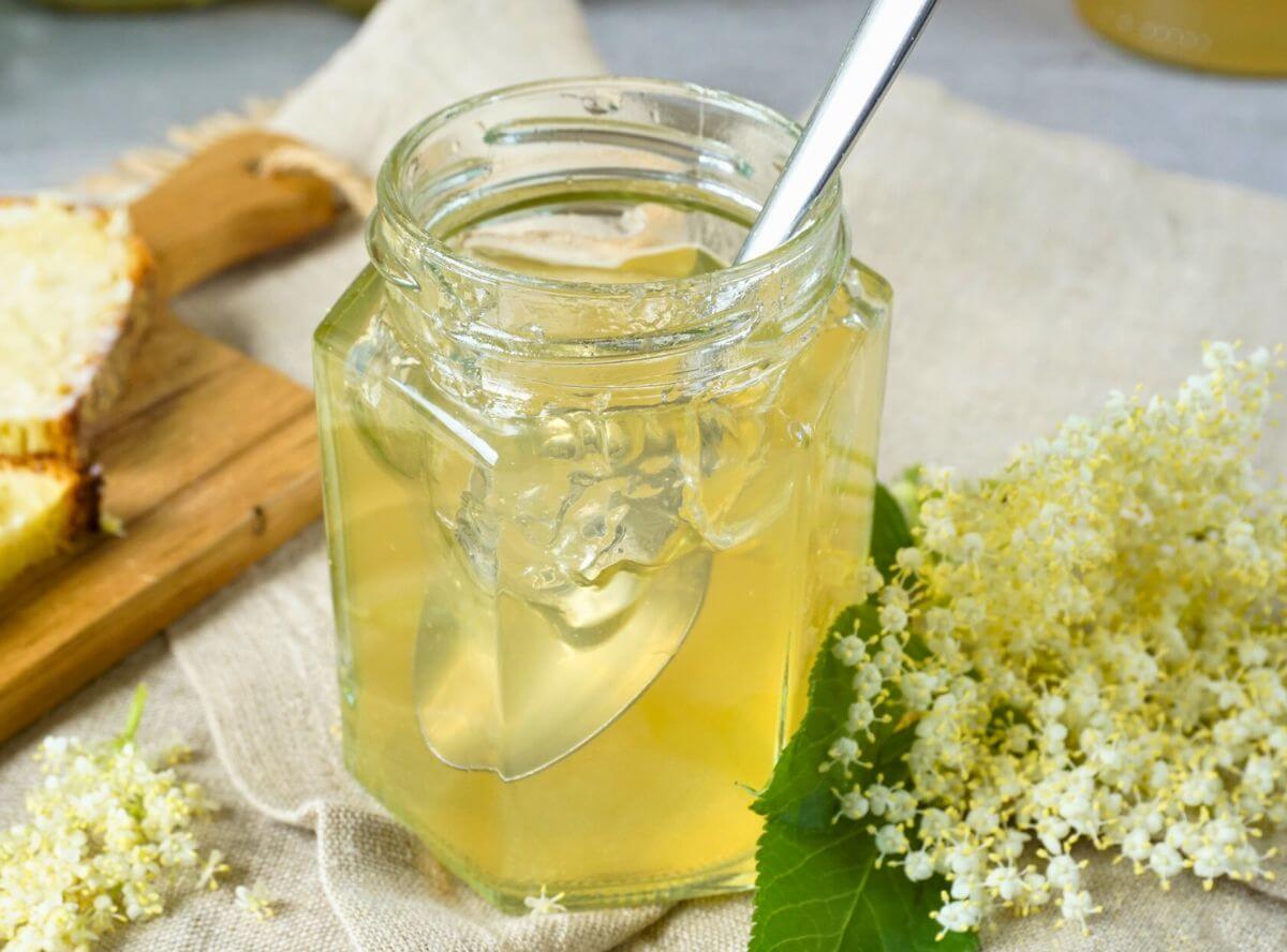 Holunderblütengelee – Mein einfaches Rezept