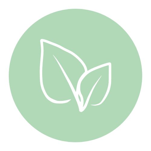 Icon Frische Salate