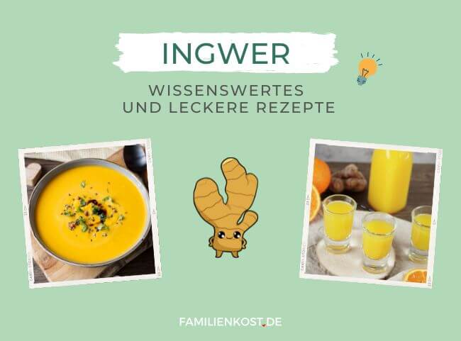 Ingwer für Kinder Ingwer für Kinder