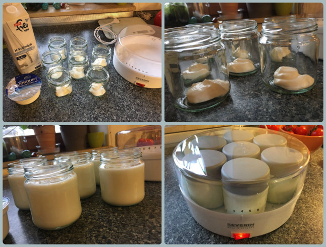 Joghurt selber machen Joghurt selber machen