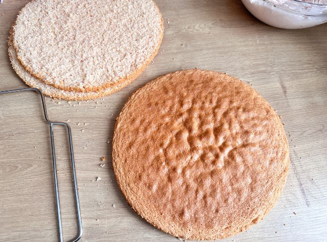 Katzentorte Biskuit teilen Katzentorte Biskuit teilen
