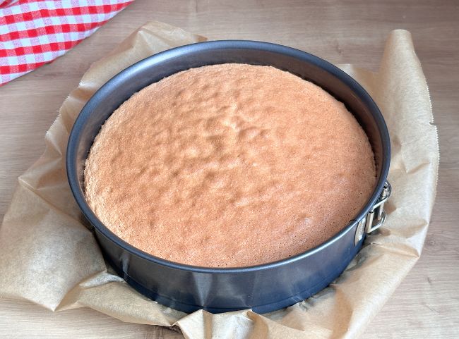 Katzentorte Kuchen backen Katzentorte Kuchen backen