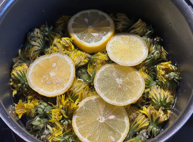 Löwenzahn für Honig kochen Löwenzahn für Honig kochen