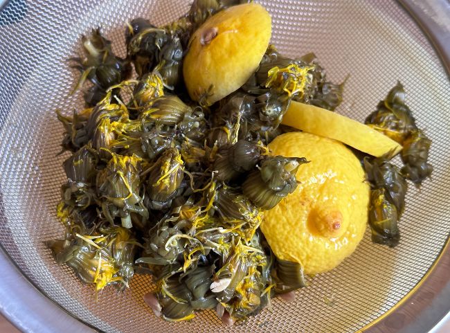 Löwenzahn für Honig kochen Löwenzahn für Honig kochen