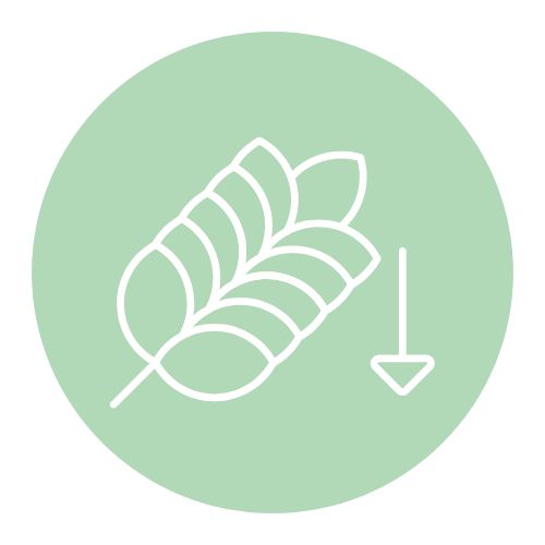 Icon Schnelles Abendessen ohne Kohlenhydrate