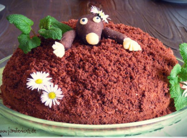 Maulwurfkuchen Kuppel