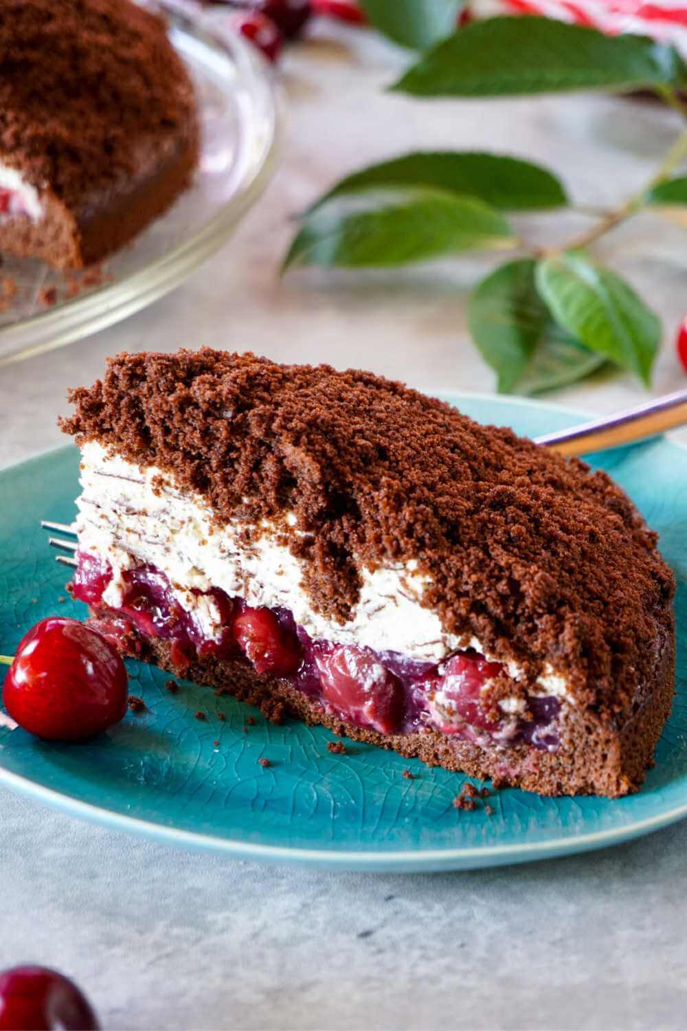 Maulwurfkuchen mit Kirschen