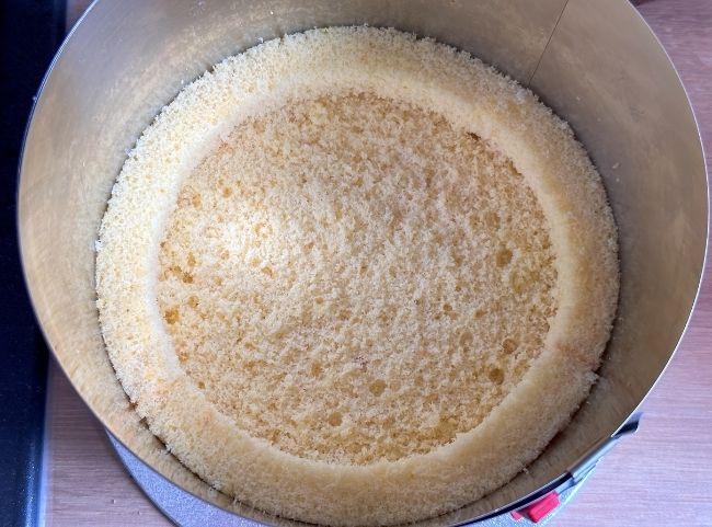 Meerjungfrau Torte Biskuitboden Meerjungfrau Torte Biskuitboden