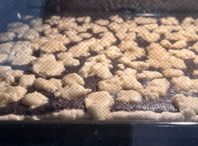 Mohnkuchen backen Mohnkuchen backen