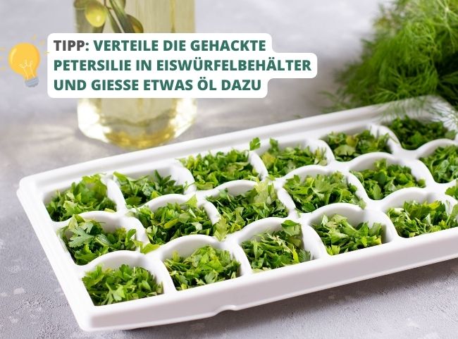 Petersilie Eisw&uuml;rfelbeh&auml;lter einfrieren