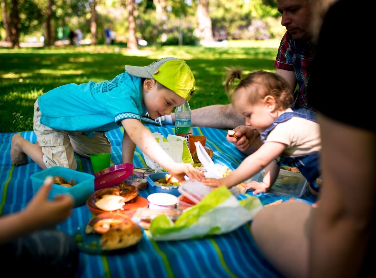 Picknick-Rezepte