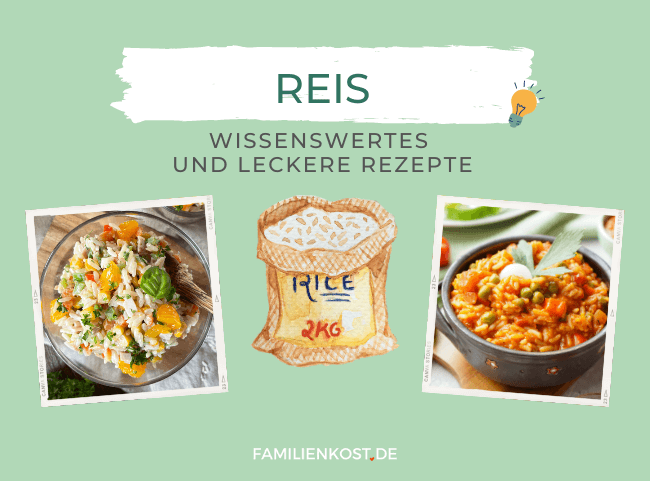Reis: Wissenswertes im Überblick