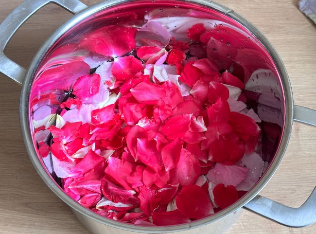 Rosenblüten für Rosengelee waschen Rosenblüten für Rosengelee waschen