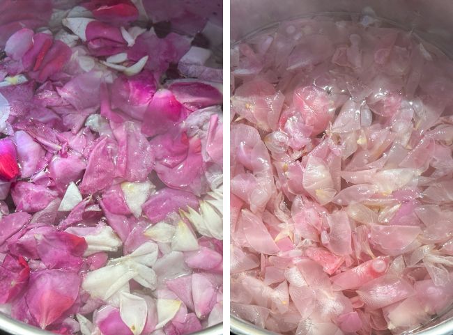 Rosenblüten kochen Rosenblüten kochen