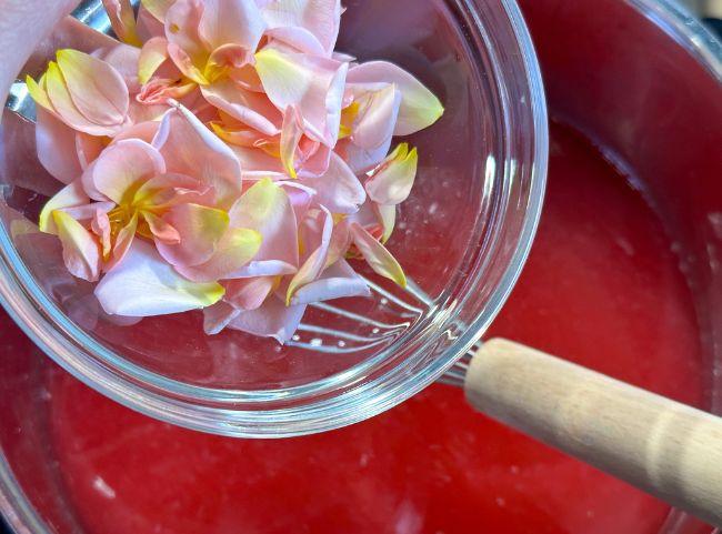 Rosengelee ohne Alkohol Rosengelee ohne Alkohol