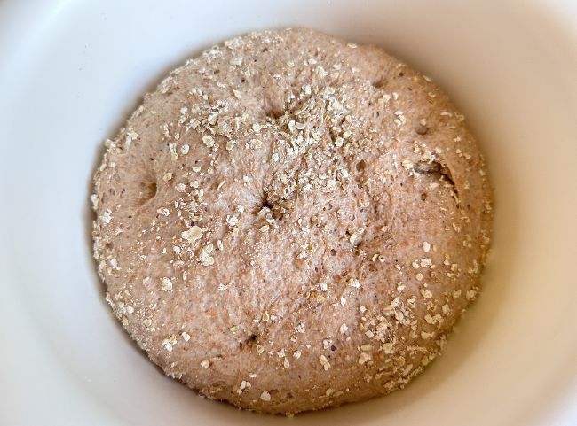 Vollkornbrötchen Teig Vollkornbrötchen Teig