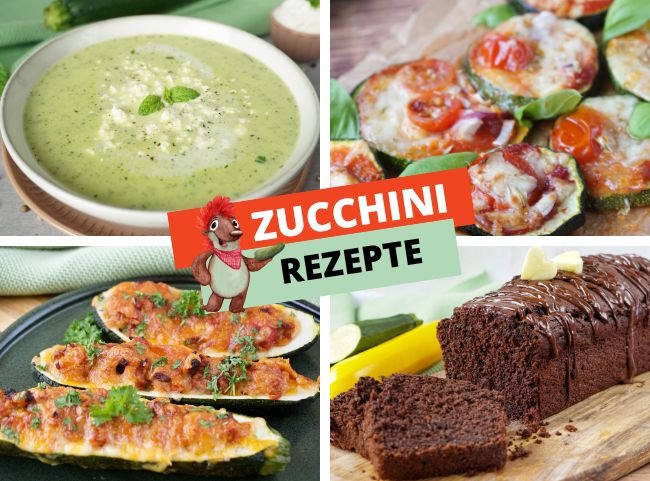 Zucchini Rezepte Zucchini Rezepte