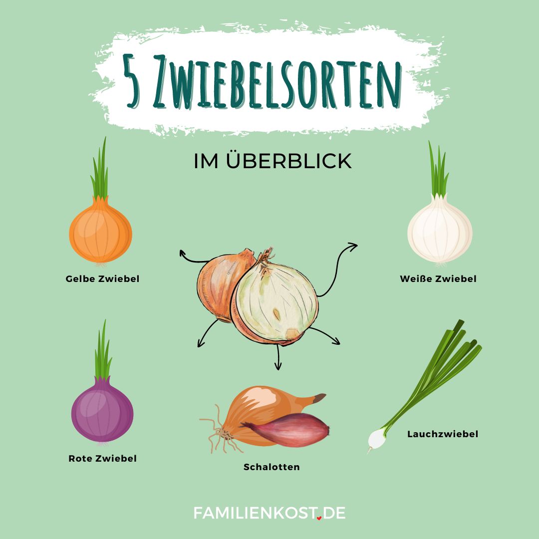 Zwiebelsorten im &Uuml;berblick